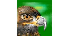 Drawing of Eagle by Vinci