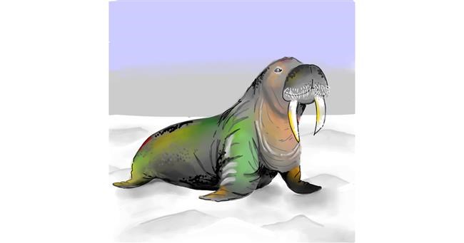 Drawing of Walrus by Keke •_•