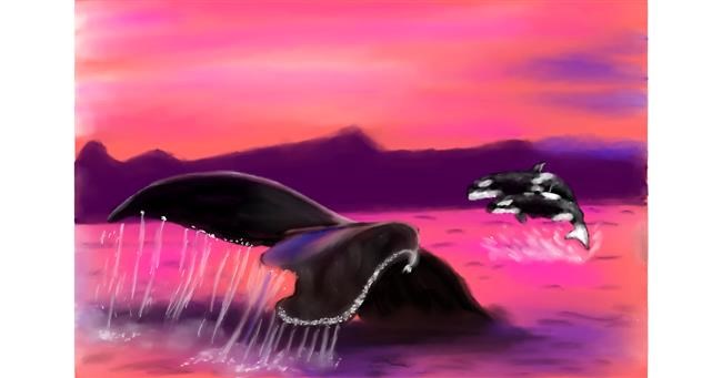 Drawing of Whale by Wizard