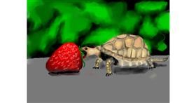 Drawing of Tortoise by SAM AKA MARGARET 🙄
