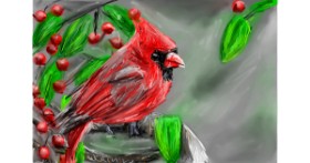Drawing of Bird by Mia