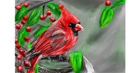 Drawing of Bird by Mia