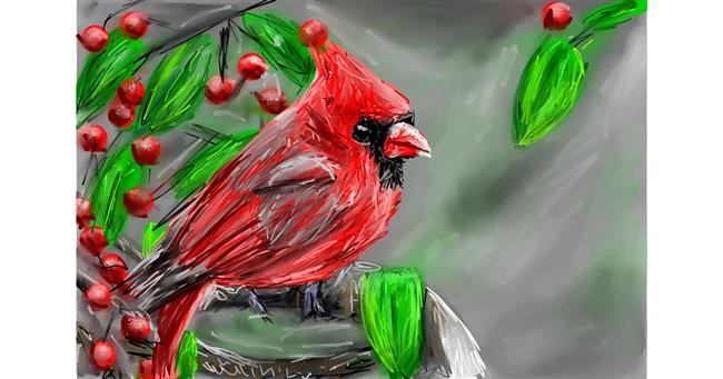 Drawing of Bird by Mia