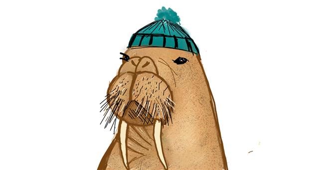 Drawing of Walrus by Cookie