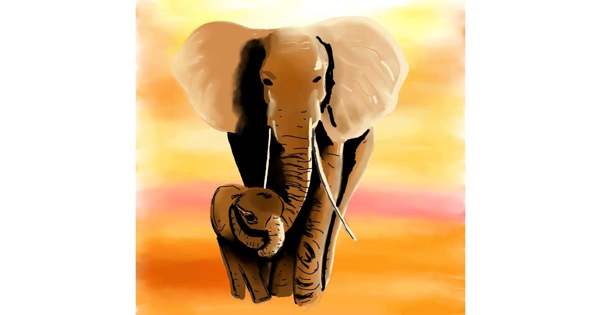 Drawing of Elephant by Joze