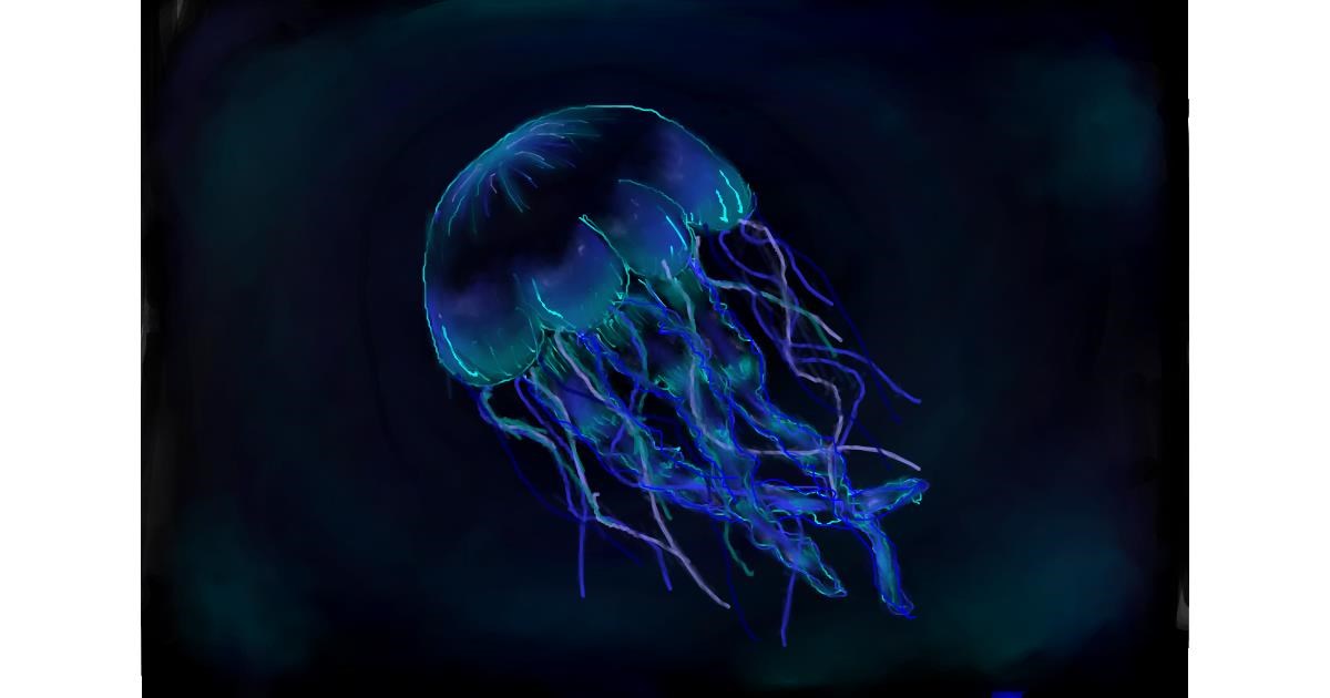 Drawing of Jellyfish by Koala