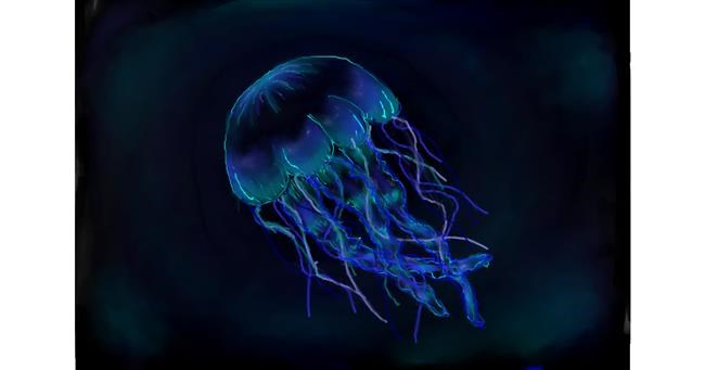 Drawing of Jellyfish by Koala