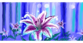 Drawing of Lily flower by Ghost