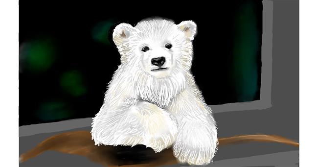 Drawing of Polar Bear by Tim