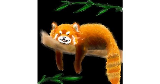 Drawing of Red Panda by 👽mint