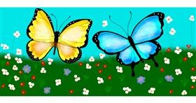 Drawing of Butterfly by Debidolittle