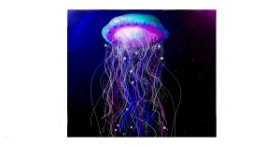 Drawing of Jellyfish by Sara
