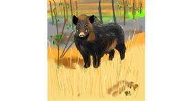 Drawing of Wild boar by TedsNan