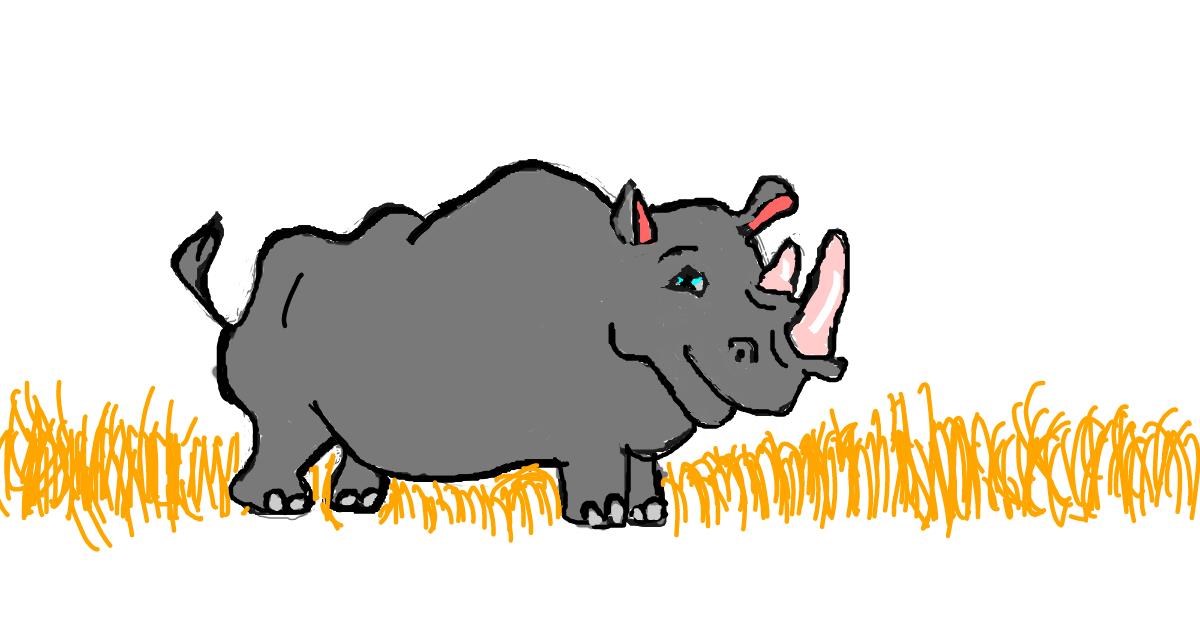 Drawing of Rhino by kari