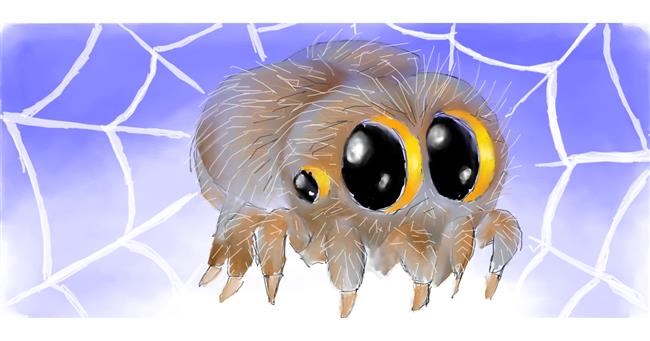 Drawing of Spider by Lala