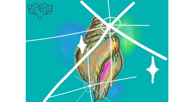 Drawing of Seashell by GABABUNDO