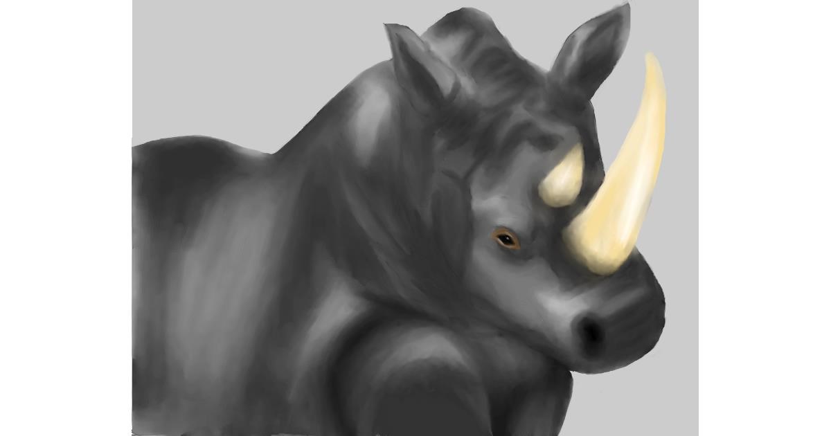 Drawing of Rhino by Erinem