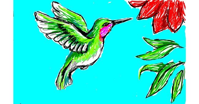 Drawing of Hummingbird by Sim