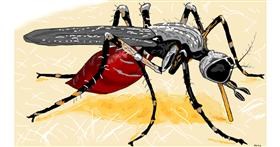 Drawing of Mosquito by flowerpot