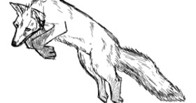 Drawing of Fox by Dazai