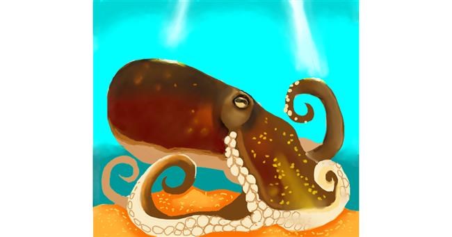 Drawing of Octopus by Cucumberjoe