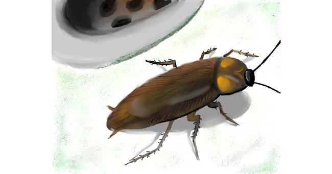 Kakerlake-Zeichnung von Zi