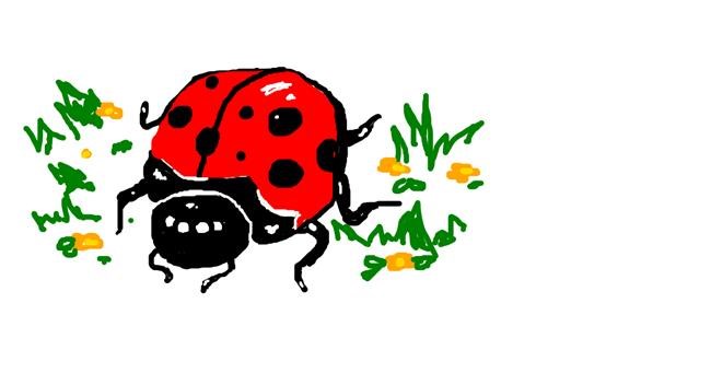 Drawing of Ladybug by Hahah