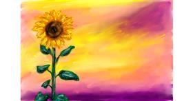 Drawing of Sunflower by Soaring Sunshine