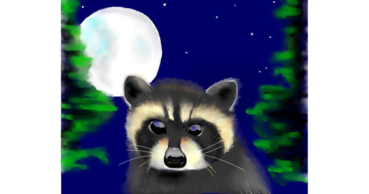 Drawing of Raccoon by Cec