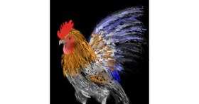 Drawing of Rooster by Eclat de Lune