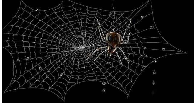 Drawing of Spider web by Eclat de Lune