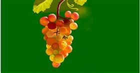 Drawing of Grapes by shiNIN