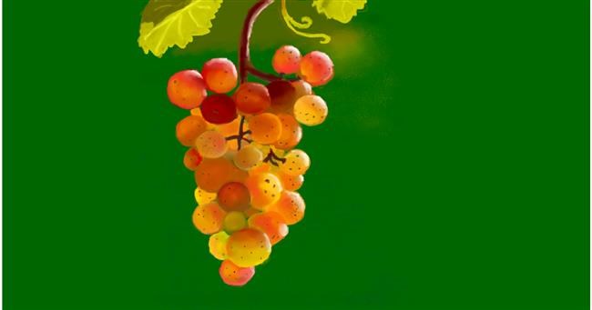 Drawing of Grapes by shiNIN