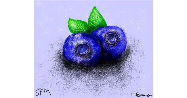 Drawing of Blueberry by Banana