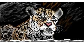 Drawing of Cheetah by Chaching