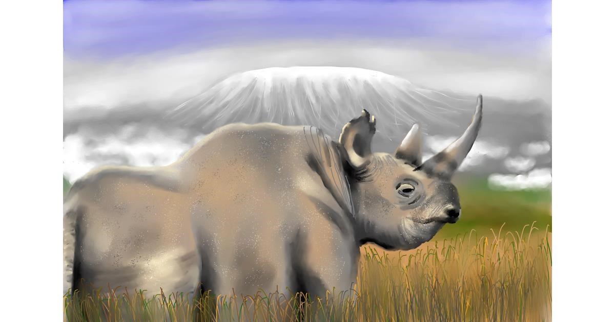 Drawing of Rhino by RadiouChka