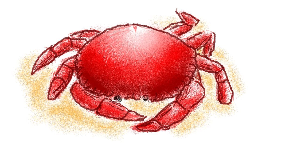 Drawing of Crab by WindPhoenix