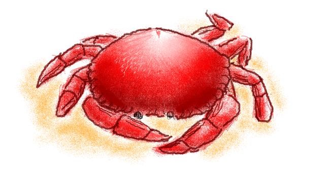 Drawing of Crab by WindPhoenix