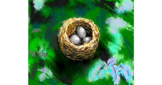 Nest-Zeichnung von teidolo