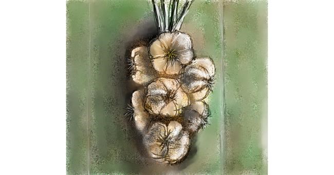 Drawing of Garlic by Dexl