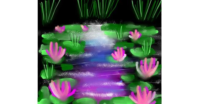 Drawing of Water lily by Cookie