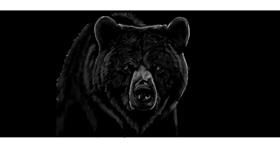 Medvjed - autor: Annie