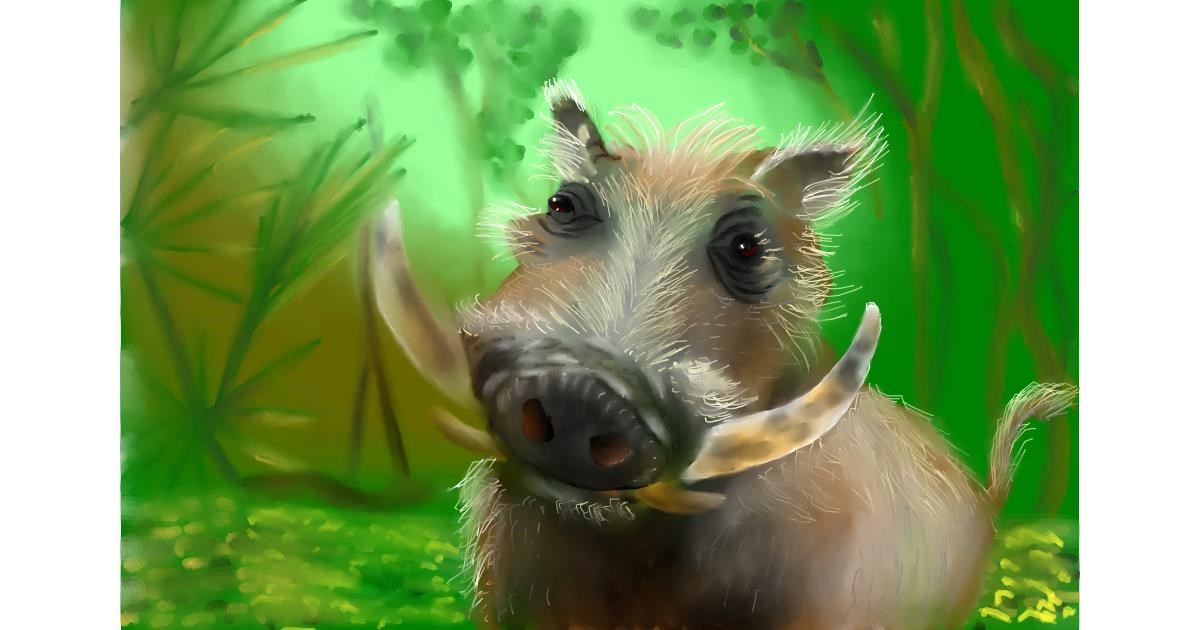 Drawing of Wild boar by Wizard
