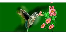 Drawing of Hummingbird by Chaching