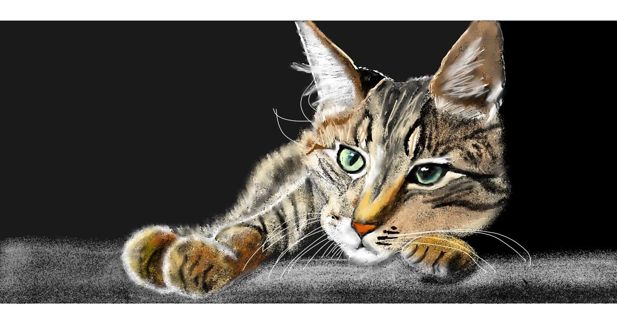 Full Size Drawing