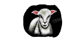 Drawing of Sheep by I am Period