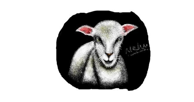 Drawing of Sheep by I am Period