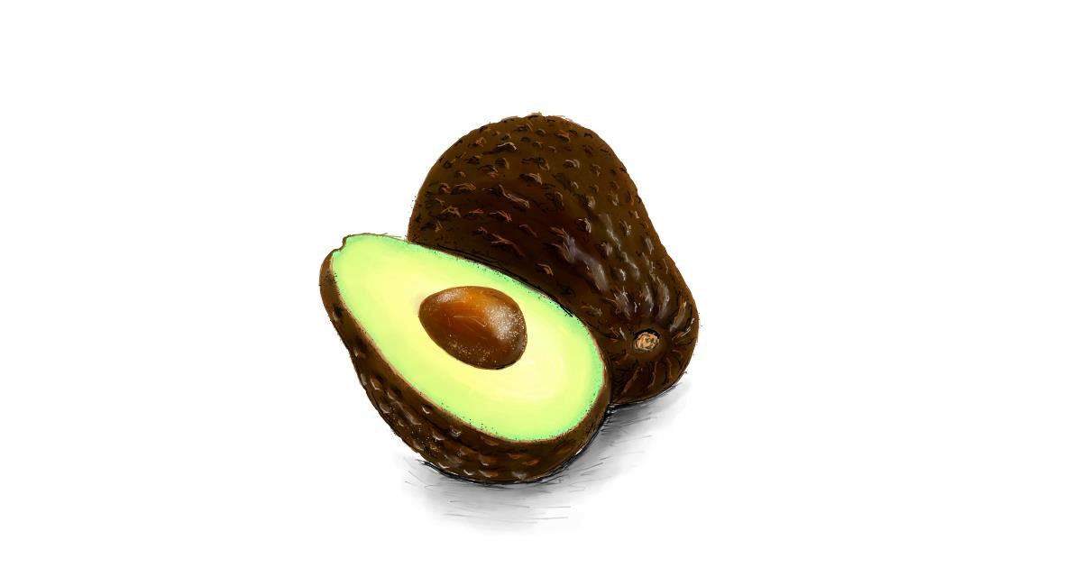 Drawing of Avocado by Andromeda