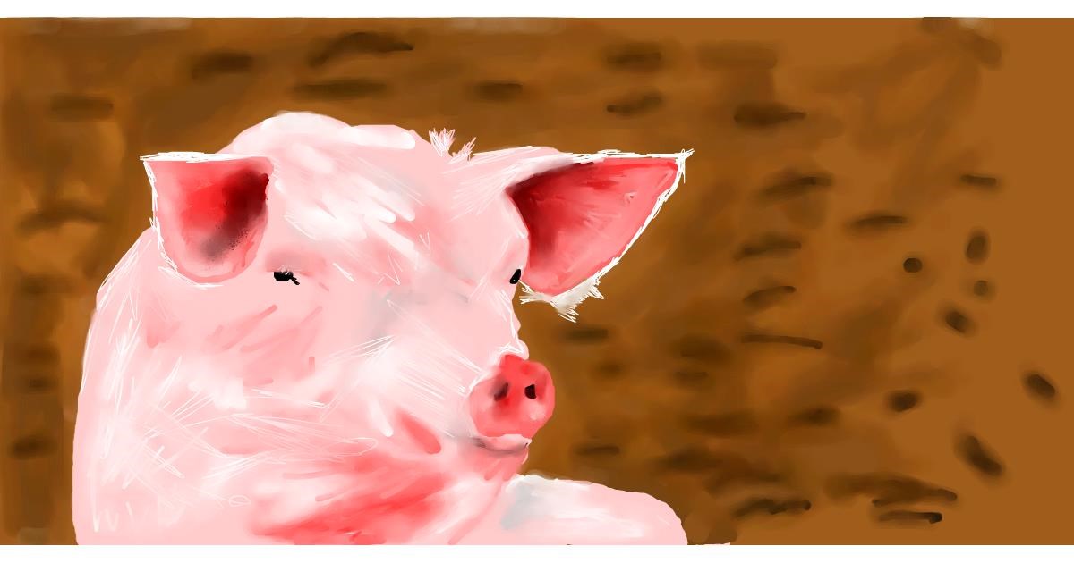 Drawing of Pig by Effulgent Emerald