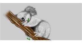 Drawing of Koala by Chaching
